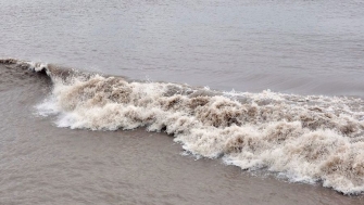 錢(qián)塘江流域防洪減災數字化平臺通過(guò)竣工驗收